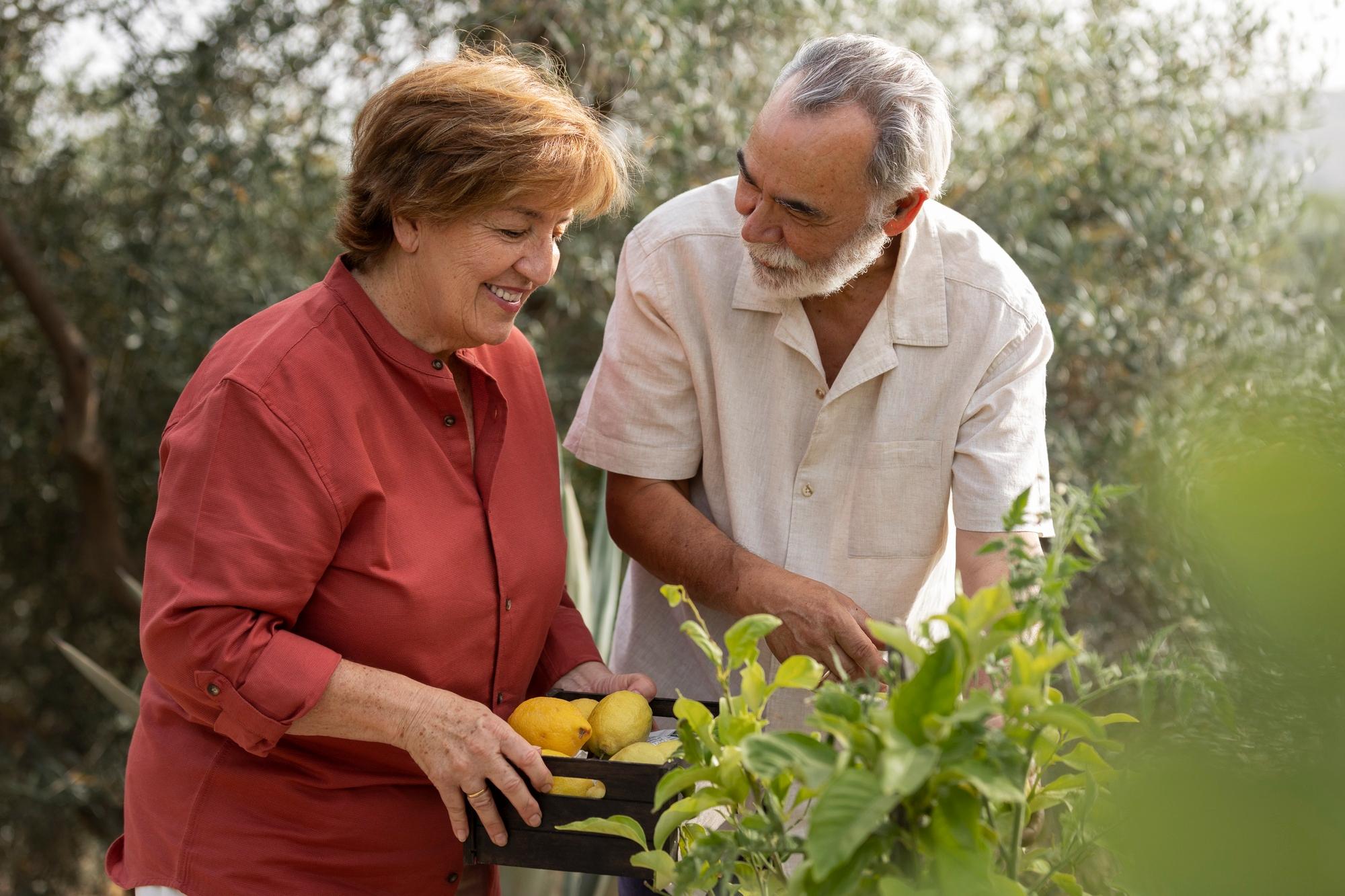 A couple holding a box of lemons on their property.